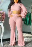 Pink Fashion Casual Solid Basic Turtleneck Long Sleeve Two Pieces