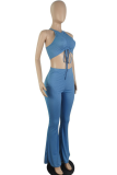 Pink Sexy Casual Solid Draw String Halter Sleeveless Two Pieces