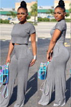 Dark Gray Polyester Casual Fashion Slim fit crop top Solid Two Piece Suits Straight