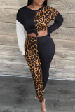 Black Casual Leopard Patchwork O Neck Long Sleeve Two Pieces