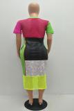 Multi-color Polyester Fashion Casual Cap Sleeve Short Sleeves O neck Step Skirt Ankle-Length asymmetrical Mesh p