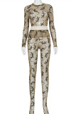 Brown Casual Print See-through O Neck Long Sleeve Two Pieces