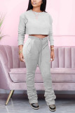 Light Gray Casual Solid Pocket O Neck Long Sleeve Two Pieces