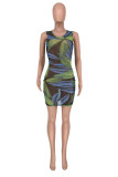 Green Fashion Sexy Print See-through O Neck Sleeveless Dress