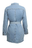 Blue Fashion Casual Solid Basic Turndown Collar Denim Dress