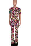 Multicolor Sexy Leopard Patchwork O Neck Short Sleeve Two Pieces