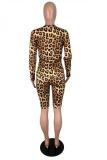 Royal blue Fashion Casual adult Letter Print Leopard Two Piece Suits pencil Long Sleeve Two-Piece Sh