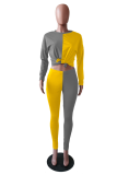 Yellow Casual Solid Split Joint O Neck Long Sleeve Two Pieces