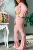 Pink Casual Solid Patchwork Turtleneck Long Sleeve Two Pieces