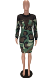 Leopard Print Sexy Print See-through Half A Turtleneck Pencil Skirt Dresses