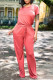 Pink Fashion Casual Solid Basic O Neck Short Sleeve Two Pieces