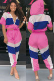 Pink Polyester Fashion Sexy Print Patchwork Mesh Straight Two-piece Pants Set