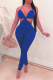 Blue Sexy Solid Hollowed Out Halter Skinny Jumpsuits