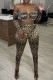 Multicolor Sexy Print Leopard Hollowed Out Backless Off the Shoulder Long Sleeve Two Pieces