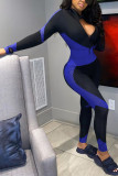Grey Sexy Print Patchwork Solid zipper Blend Long Sleeve V Neck Jumpsuits