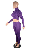purple Casual Sportswear Polyester Solid Turtleneck Long Sleeve Pile Up Sleeves Regular Two Pieces