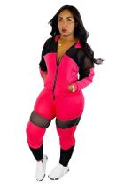 Pink Polyester Casual Solid Patchwork pencil Long Sleeve Two-piece Pants Set