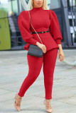 Grey Casual Solid Turtleneck Long Sleeve Two Pieces