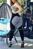Black Casual Sportswear Patchwork Basic Skinny High Waist Pencil Trousers