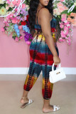 Colour Sexy Casual Print Backless V Neck Sleeveless Two Pieces