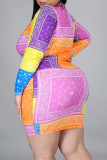 Multicolor Fashion Sexy Print Basic Zipper Collar Long Sleeve Dresses