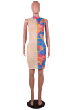 Pink Fashion Sexy Print Patchwork See-through Zipper Collar Sleeveless Dress