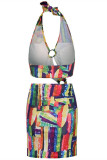 Colour Fashion Sexy Print Backless Halter Printed Dress
