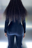 Purple Fashion Casual Solid Basic Turndown Collar Regular Jumpsuits