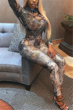 Multicolor Fashion Sexy Print See-through O Neck Long Sleeve Two Pieces