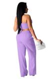 purple Polyester Fashion Sexy adult Patchwork Solid Two Piece Suits Straight Sleeveless Two Pieces