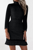 Blue Fashion Casual Solid Basic Turtleneck Long Sleeve Dresses