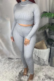 Grey Sexy Solid Split Joint Turtleneck Long Sleeve Two Pieces