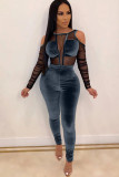 Blue Sexy Mesh Patchwork Solid velvet Long Sleeve O Neck