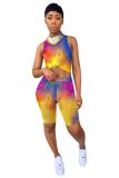 Multi-color Polyester Fashion Sexy adult Striped Patchwork Print Character Tie Dye Two Piece Suits Straight Sleeveless Two Pieces