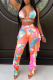 Pink Sexy Print Frenulum Swimwears