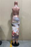 Multicolor Fashion Sexy Print Backless Strap Design Halter Sleeveless Dress