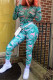 Blue Fashion Sexy Print See-through O Neck Long Sleeve Two Pieces