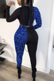 Blue Polyester Sexy Patchwork Two Piece Suits Leopard Straight Long Sleeve