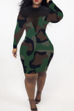 Leopard Print Sexy Print See-through Half A Turtleneck Pencil Skirt Dresses