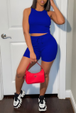 Blue Sexy Solid Patchwork U Neck Sleeveless Two Pieces