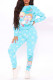 Light Blue Fashion Casual Print Basic O Neck Long Sleeve Two Pieces