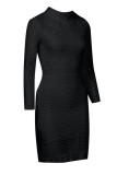 Blue Fashion Casual Solid Basic Turtleneck Long Sleeve Dresses