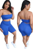Royal blue Polyester Fashion Casual Solid Two Piece Suits pencil Sleeveless Two Pieces