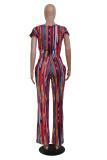 multicolor Street Fashion adult crop top Patchwork contrast color bow-knot asymmetrical Print Two Pie