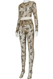 Brown Casual Print See-through O Neck Long Sleeve Two Pieces