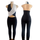 Purple Sexy Casual Patchwork Hollowed Out Backless Halter Skinny Jumpsuits