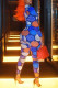 Blue Fashion Casual Print Basic O Neck Regular Jumpsuits