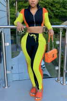 Black Casual Split Joint Zipper Collar Long Sleeve Two Pieces
