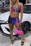 Colour Sexy Print Patchwork Halter Sleeveless Two Pieces
