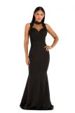 Red Polyester adult Celebrities Fashion Off The Shoulder Sleeveless O neck Mermaid Floor-Length Solid Pa